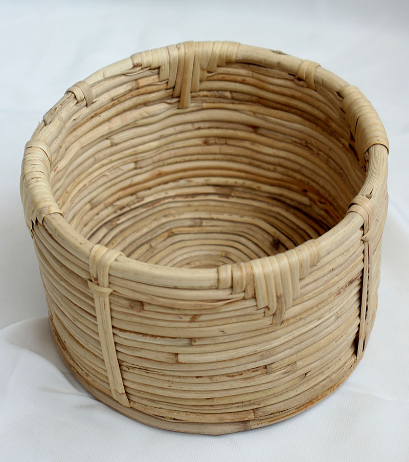 Cane planter